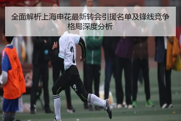 全面解析上海申花最新转会引援名单及锋线竞争格局深度分析